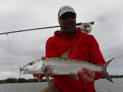 Eric Everett was just in Cuba, fly fishing for Bonefish. The bones found the DF Spawning Shrimp to be 'da Bomb