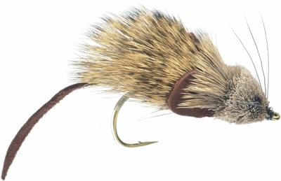 Mouse Rat Fly