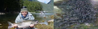 Fly Fishing in Port Alexander, Alaska