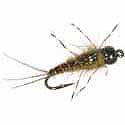 Caddis Candy - Brown