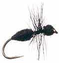 Black Fur Ant