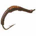 Aquatic Earthworm