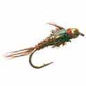 Caddis Pupa - Green