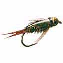 Caddis Pupa - Green