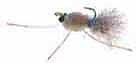 Blue Crab