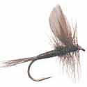Blue Quill