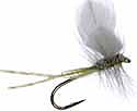 Loon Top Ride Fly Dessicant