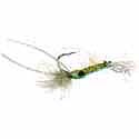 Bone Shrimp