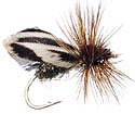 Brachycentrus Adult Caddis
