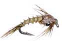 BWO Emerger - Thorax