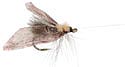 Midge - Black