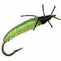 Caddis Larva Green