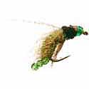 Caddis Pupa - Glass Tail - Olive