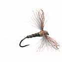 Callibaetis - CDC Biot Spinner