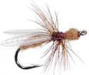CDC Flying Ant - Cinnamon