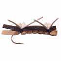 Chernobyl Ant