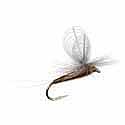 Parachute Blue-winged Olive Loopwing