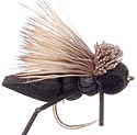 Cricket Hopper