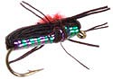 Dave's Black Beetle