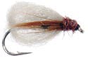 Deep Sparkle Pupa - Olive