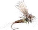 EC Caddis - Olive