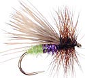 Egg Layer Caddis