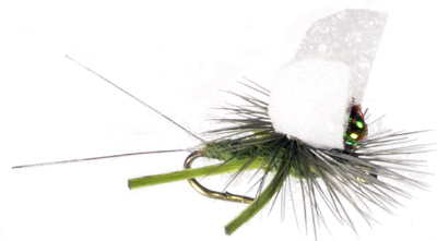 Etha Wing Blue-winged Olive