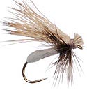 Foam Caddis - Grey