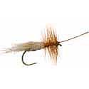 Goddard Caddis