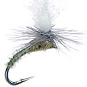 GT Adult Blue-winged Olive