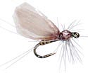 Hackle Dun - BWO
