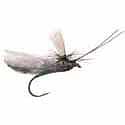 Headlight Caddis Tan