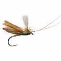 Headlight Caddis Tan