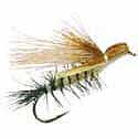 Rogue Golden Stonefly