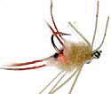 Mantis Shrimp - Tan
