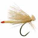 Li'l Yellow Stonefly