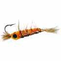 Mantis Shrimp - Orange