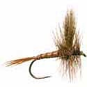 March Brown - Western