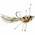 EP Spawning Shrimp