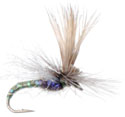 Missing Link Caddis