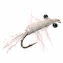 Mysis Shrimp