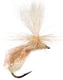Champaign Caddis Emerger - Olive