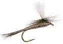 Parachute Dark Hendrickson