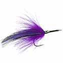 Paradise Purple