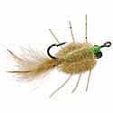 EP Spawning Shrimp