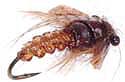 Caddis Pupa - Green