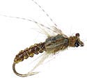 Caddis Pupa - Green