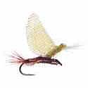Realistic PMD Emerger