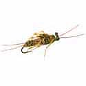 Stonefly - Realistic Golden