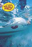Rio Bonefish Knotless Leader 10 Foot